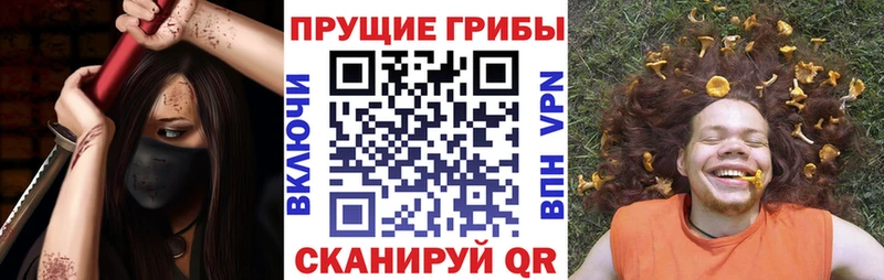 Псилоцибиновые грибы прущие грибы  цены наркотик  Ейск 