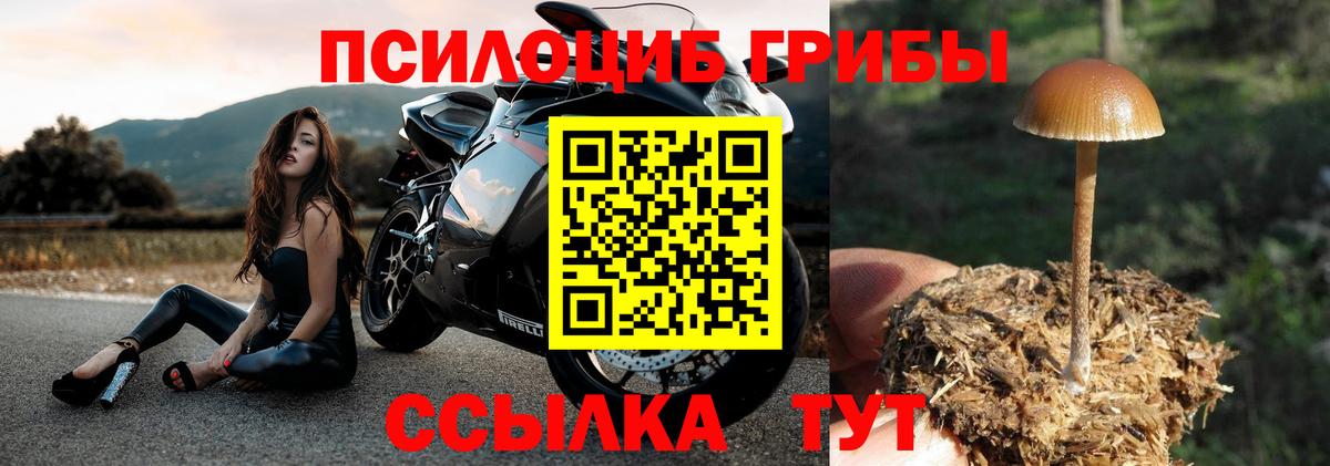 Псилоцибиновые грибы GOLDEN TEACHER Ейск
